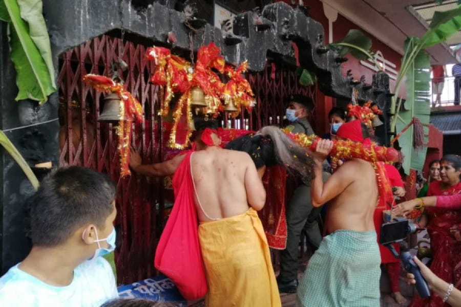 आज फूलपाती: घरघरको दसैंघरमा पवित्र फूल, पात र फल भित्र्याइँदै